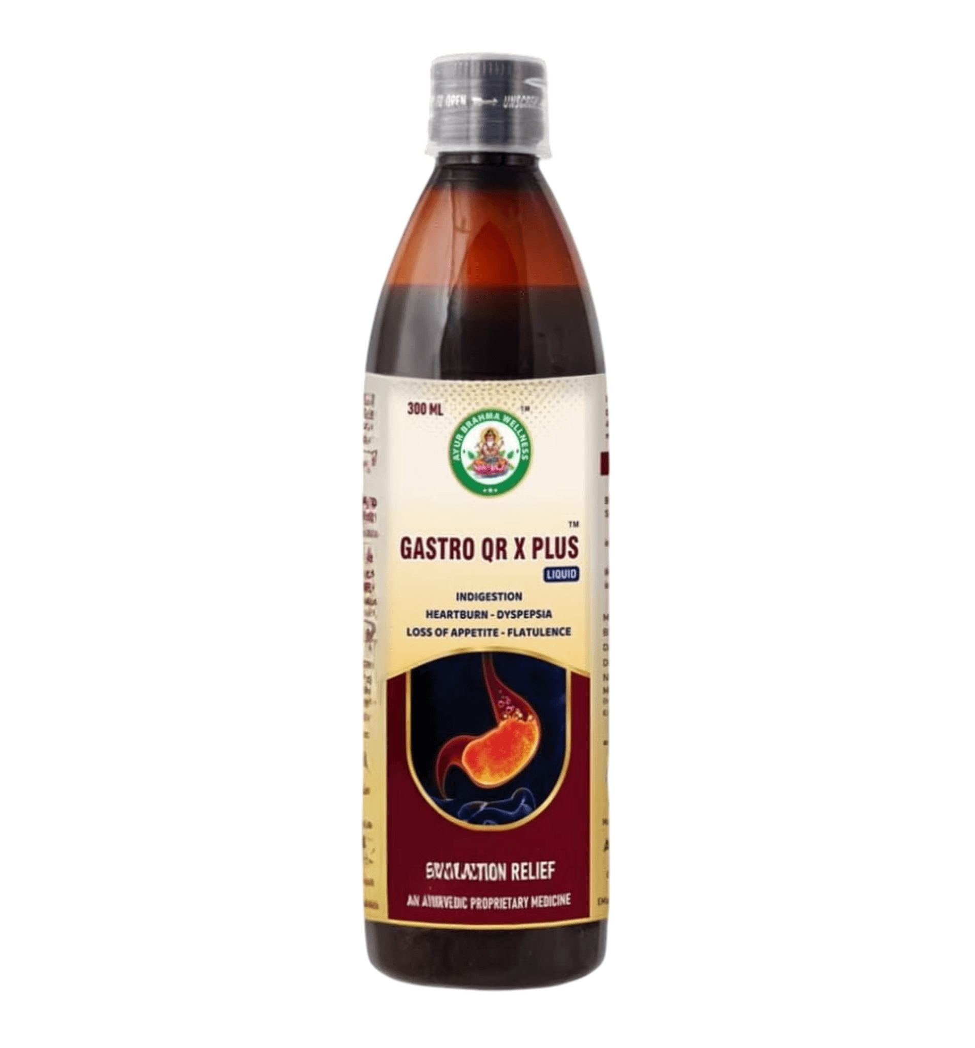 GASTRO QR X PLUS LIQUID